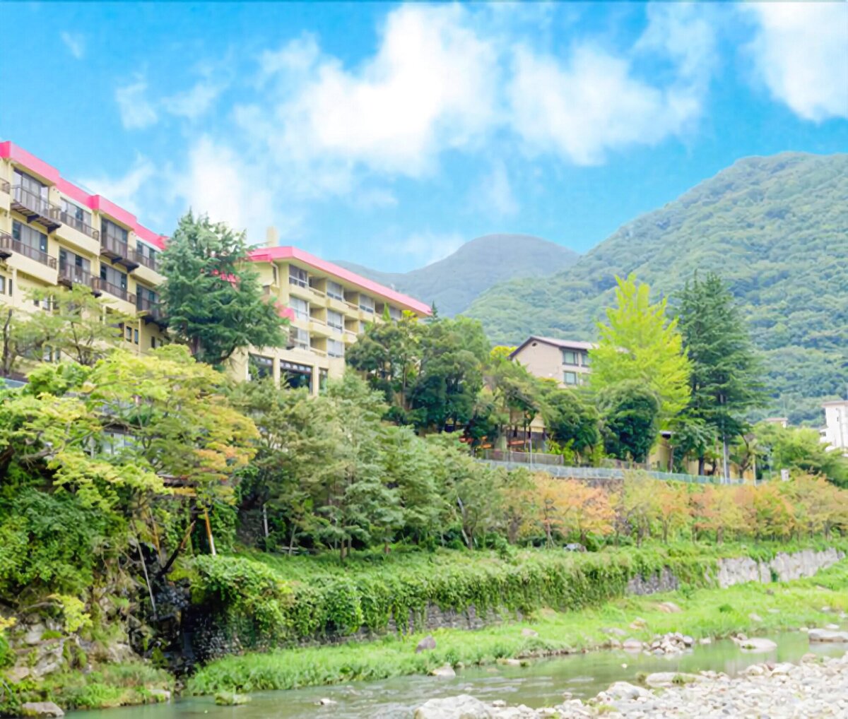 General View