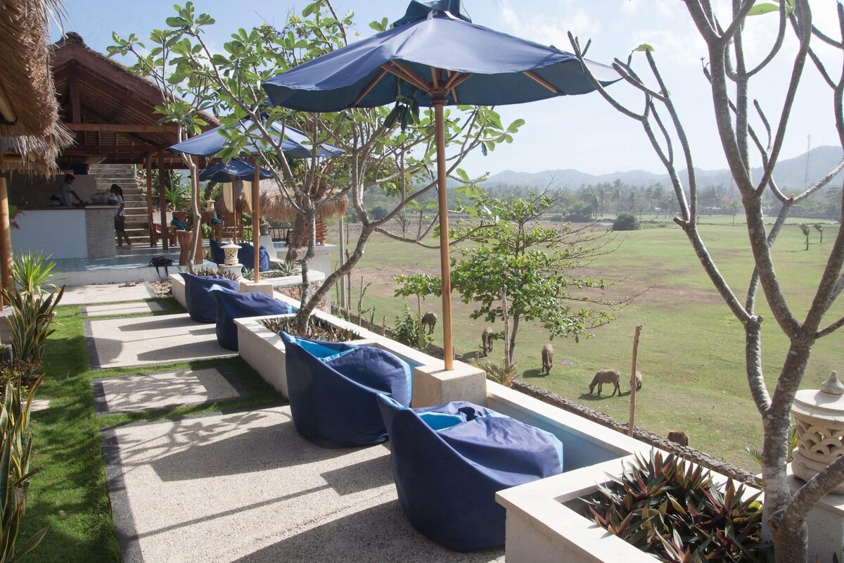 General View
