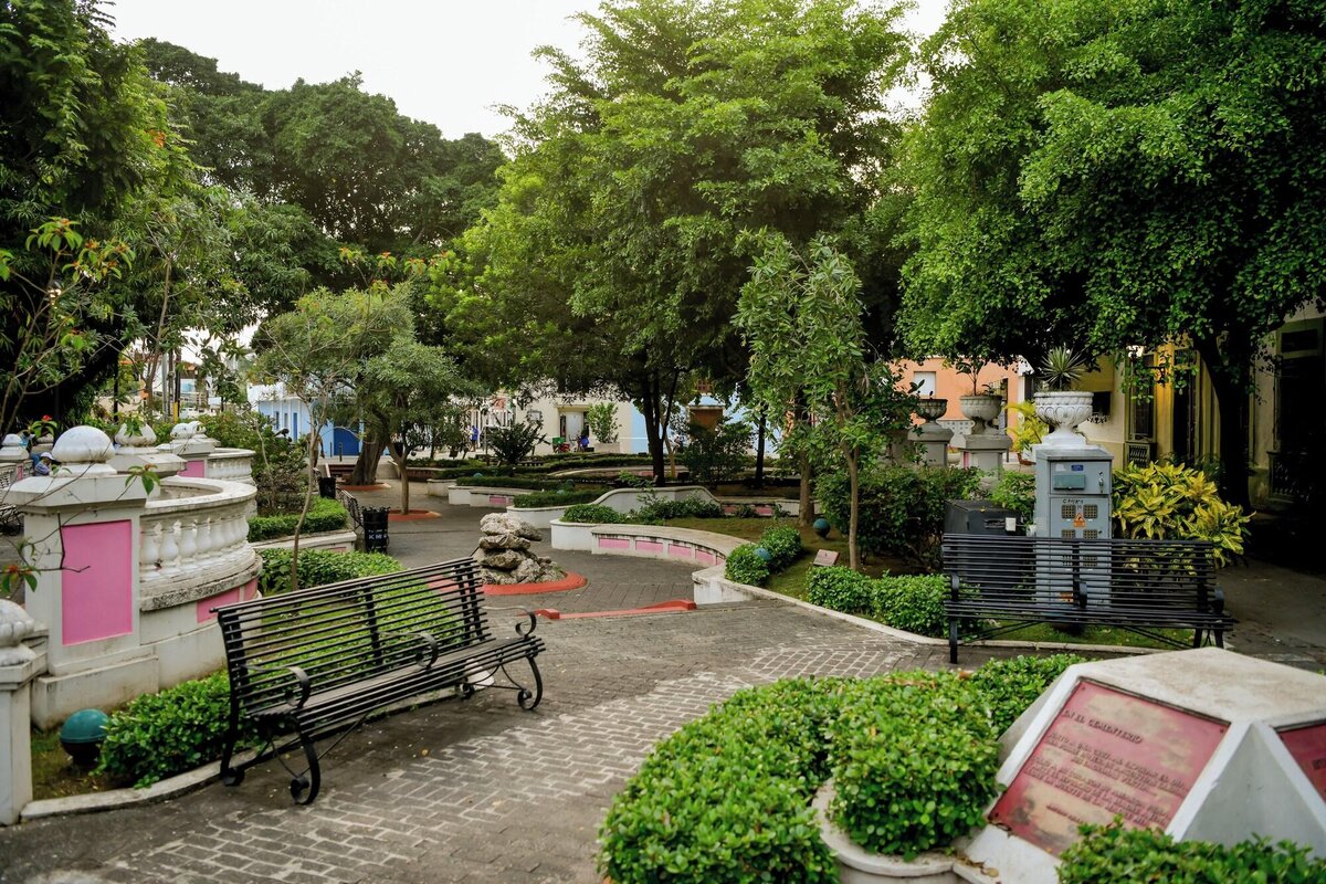 General View
