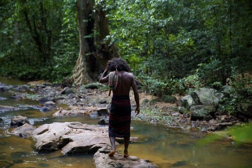 Wild Glamping - Gal Oya