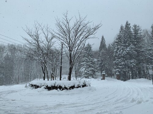 Wadano Forest Hotel And Apartments