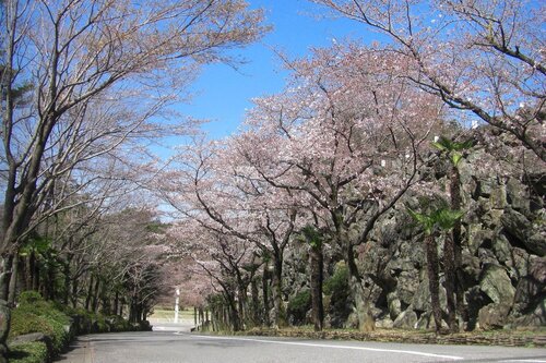 Hotel Heritage Resorts