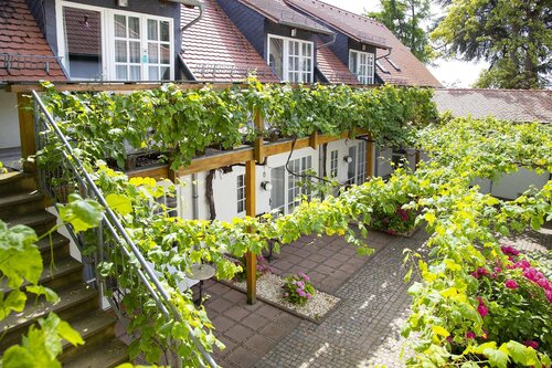 Halbersbacher Hotel Annaberg