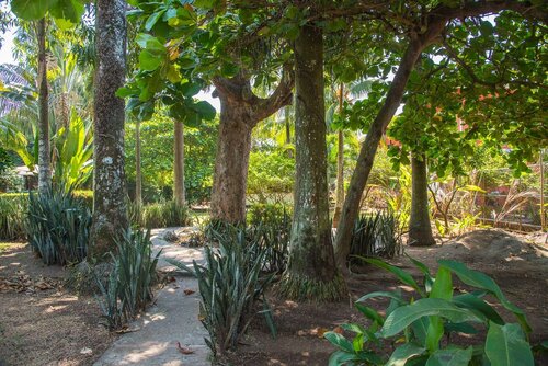 Hotel Tropical Garden