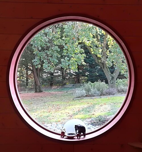 Chambre d'Hôtes Neptune Wood