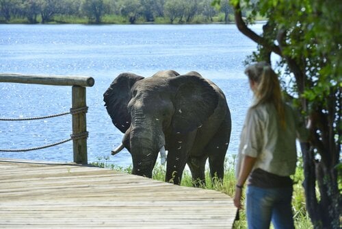 Victoria Falls River Lodge - All-Inclusive
