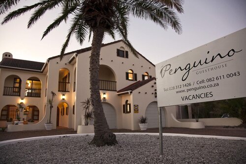 Penguino Guest House