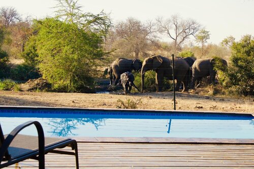 Masodini Private Game Lodge