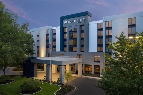 Springhill Suites By Marriott Atlanta Perimeter Ce