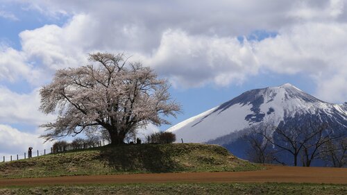 Intercontinental - Ana Appi Kogen Resort