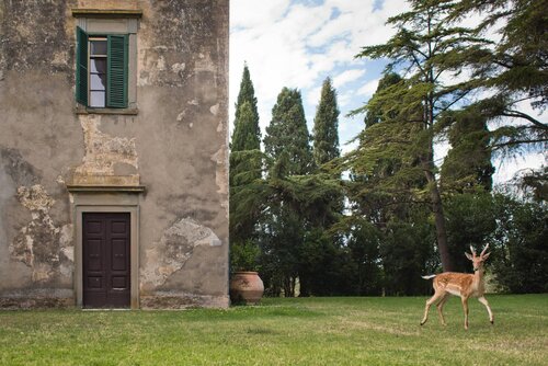Tenuta di Poggio Cavallo
