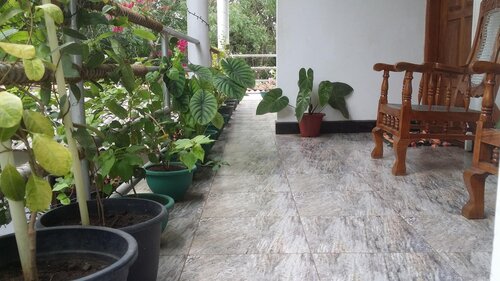 Rich Resort & Restaurant