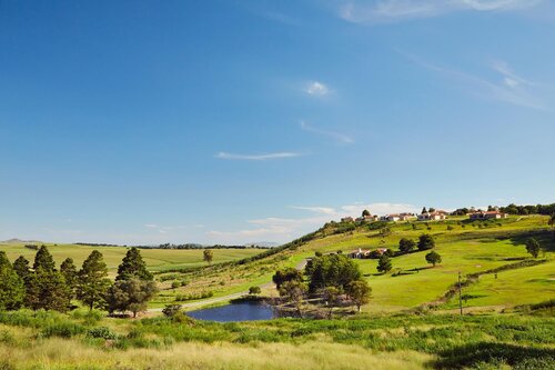 First Group Midlands Saddle and Trout