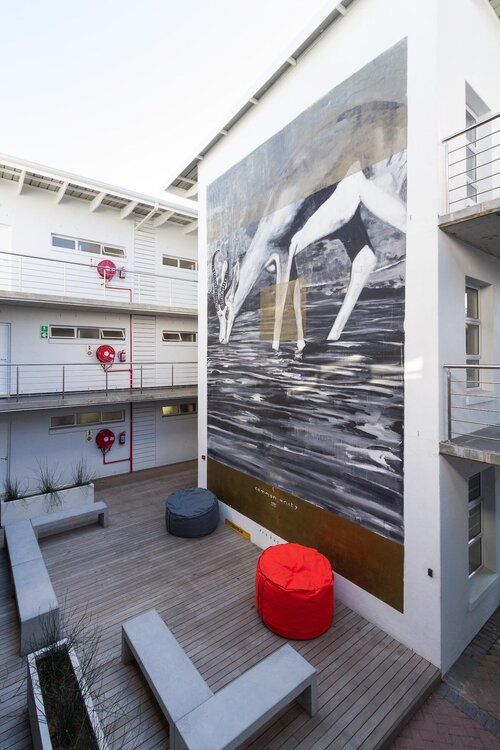 Quiver Tree Self Catering Apartments