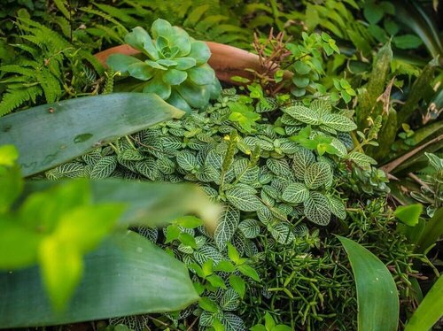Pousada Ponta da Vigia