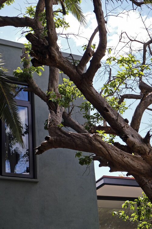 El CallejÃ³n Hotel Boutique