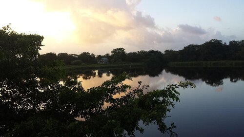 Lamanai Landings Hotel and Marina