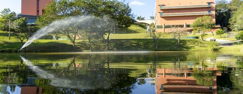 Hilton Almenat Embu das Artes Tapestry Collection