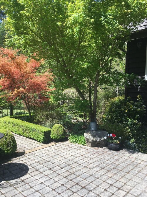 Amante Luxury Bed And Breakfast