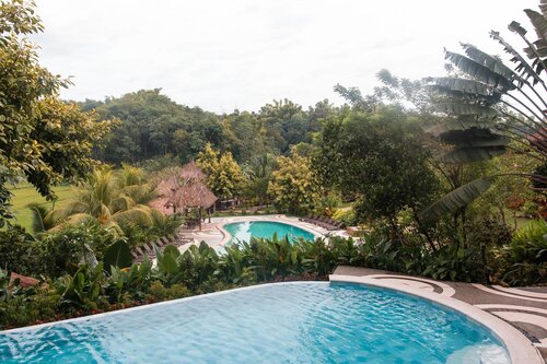 Damires Hills Tierra Verde