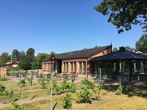 Åmund Vin & Fruktgård