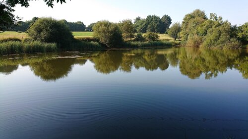 Daol Grenn - Chambres d'Hôtes