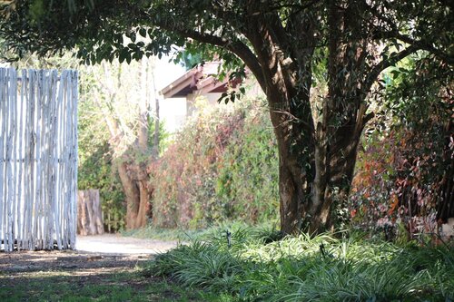 Indigo Moon Guesthouse