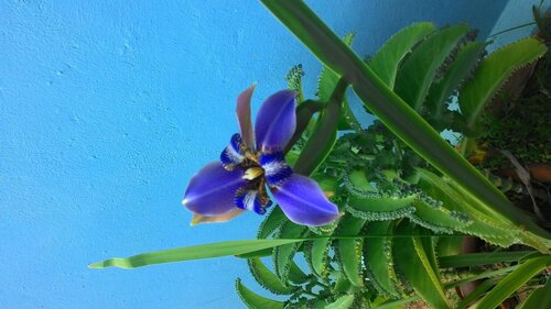 Hotel Chalé Ji-Paraná