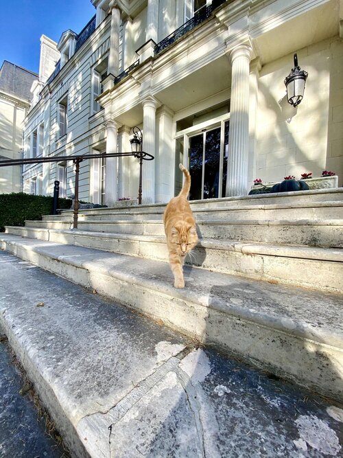 Chateau De Rochecotte