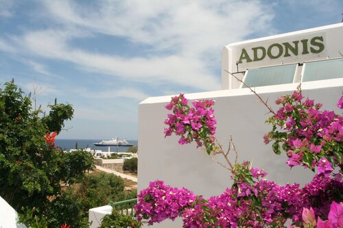 Adonis Hotel & Apartments