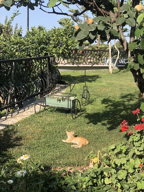 Villa Marine Apart Hotel