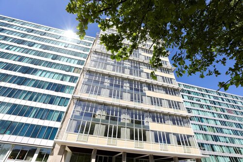 CITYDEN BOLO DISTRICT