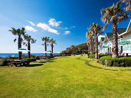 Jeju Bada Walking Pension