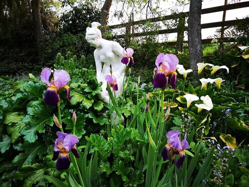 Country Villa Estate