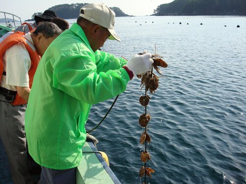 Kyukamura Kesennuma-Ohshima