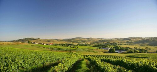 Turners Vineyard Motel And Function Centre