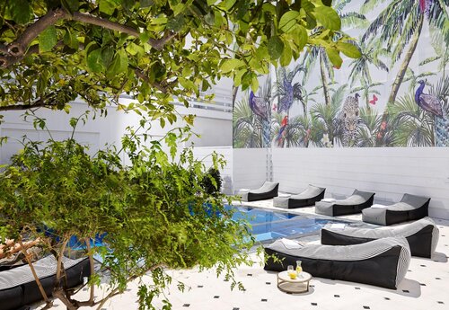 Vasia Boulevard - Adults Only