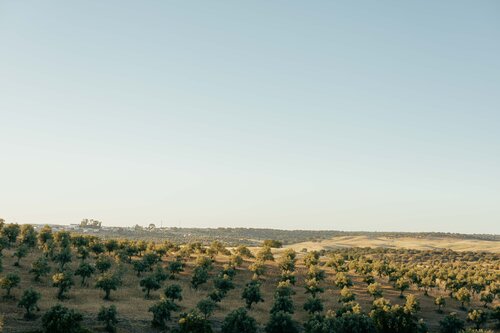 Sleep & Nature Hotel Rural