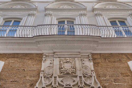 Aurea Casa Palacio Sagasta