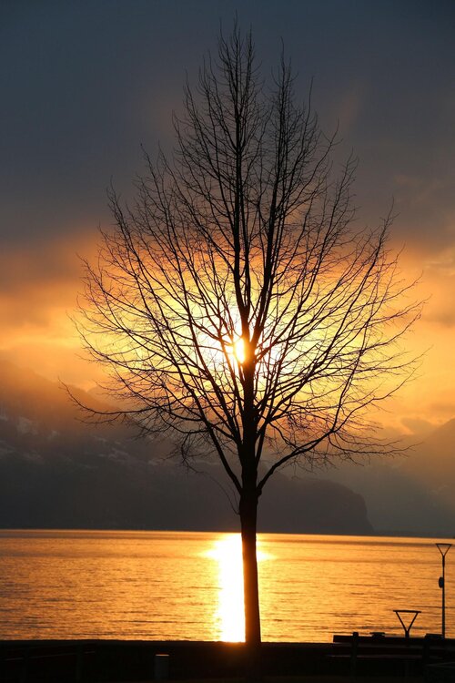 Hotel Seehof Superior