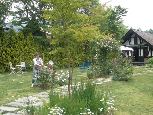 Petit Hotel & Restaurant Old Age