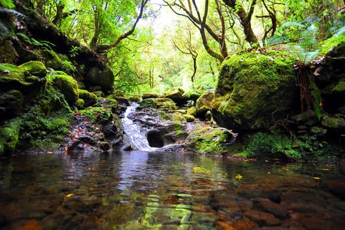 Casa do Ribeiro Frio