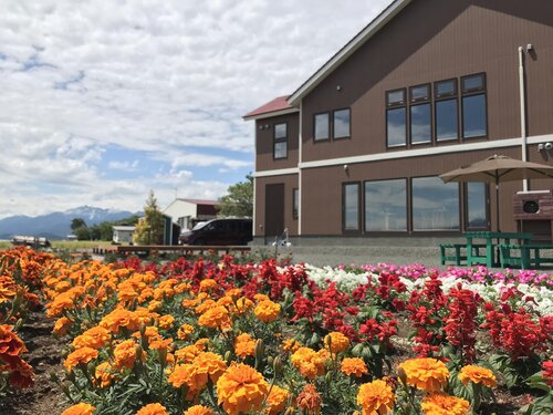 B&B plus+ Shooting Star