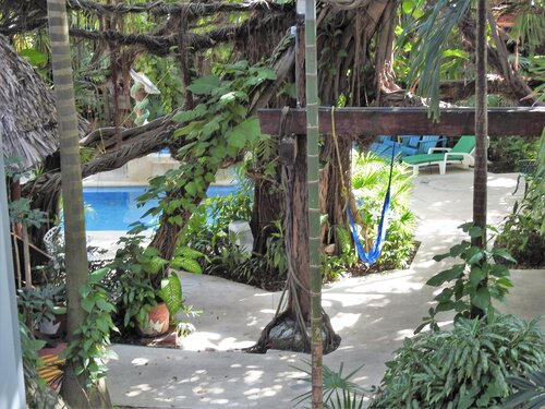 Eco-hotel El Rey Del Caribe