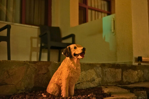 Oscar Seaside Hotel & Spa