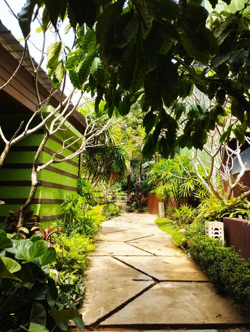 Phuket Jungle Experience Resort