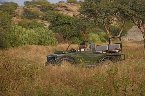 Jawai Leopard Safari Lodge