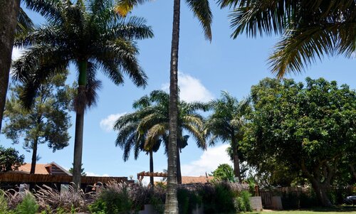 Saffron Beach Bistro Cottages