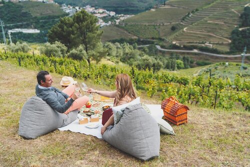 Casa Do Arco By Douro Exclusive