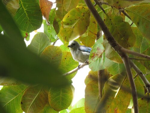 ChalÃ© Sol da Barra